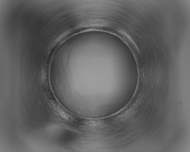 X0000076380874200610061122