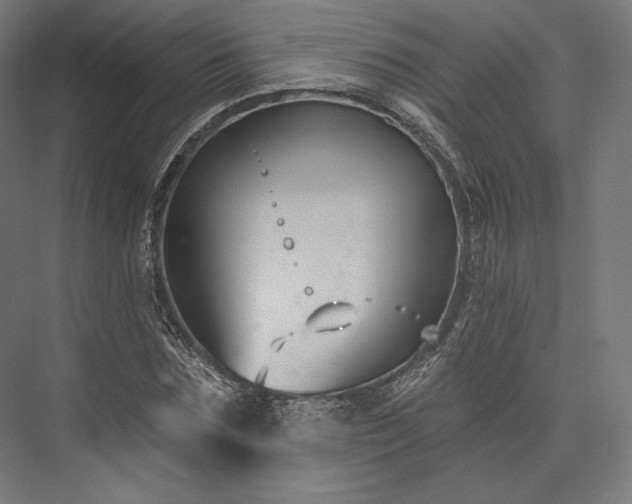 X0000076380875200610061122