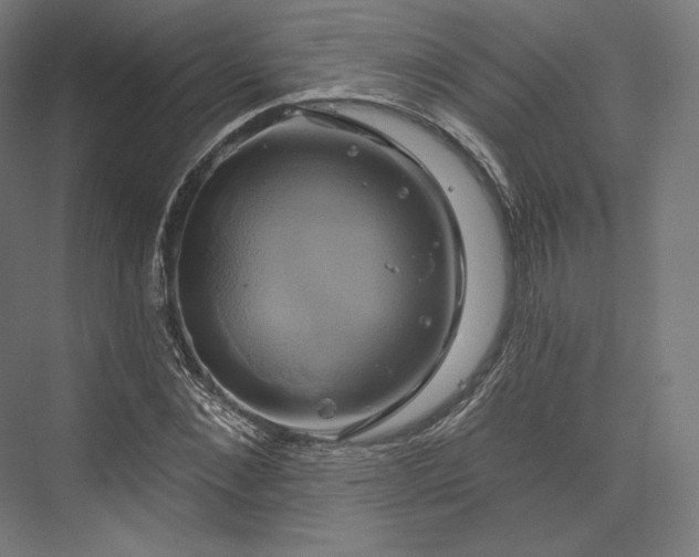 X0000076380876200610061122