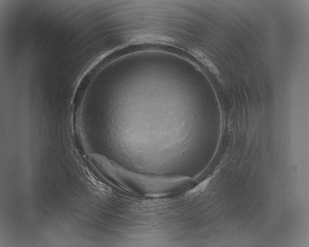 X0000076380877200610061122