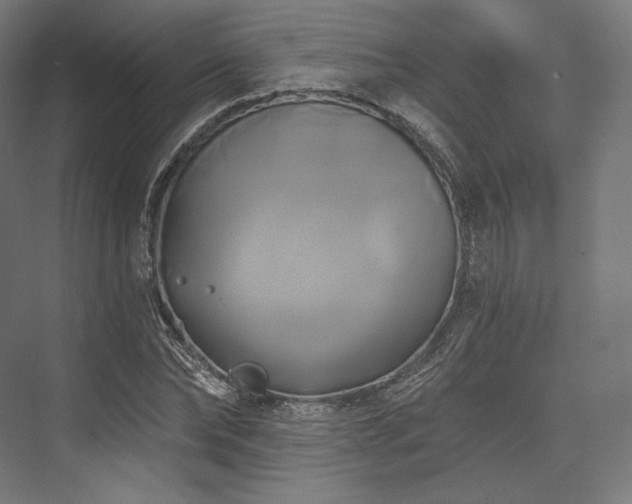 X0000076380878200610061122