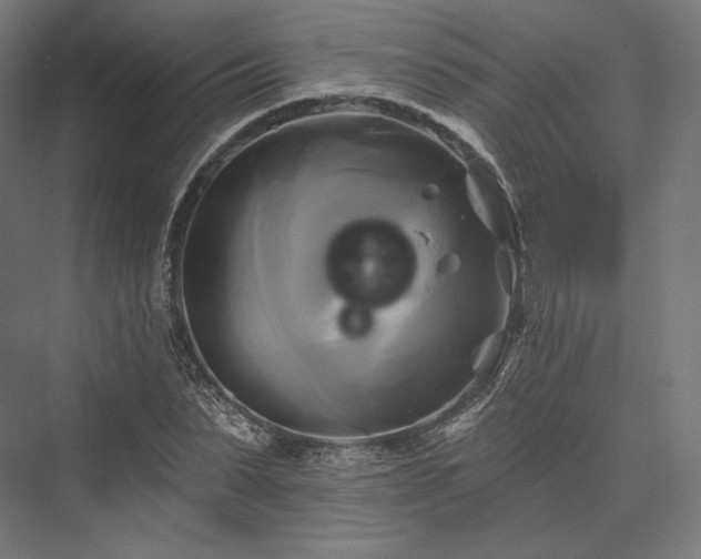 X0000076380879200610061122