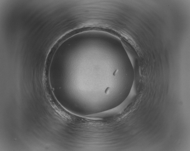 X0000076380880200610061122