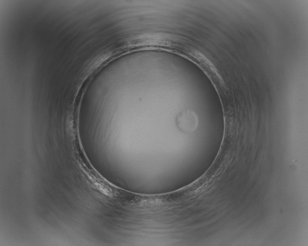 X0000076380882200610061122