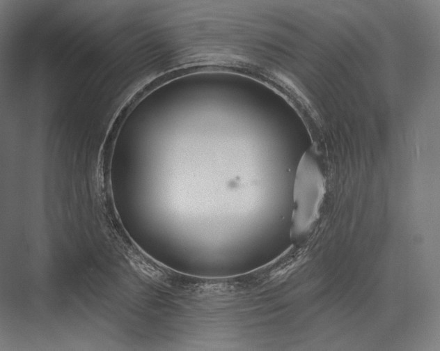 X0000076380883200610061122