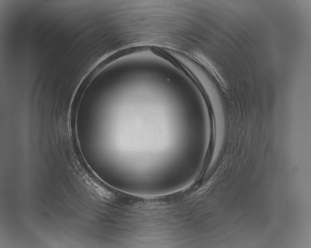 X0000076380884200610061122