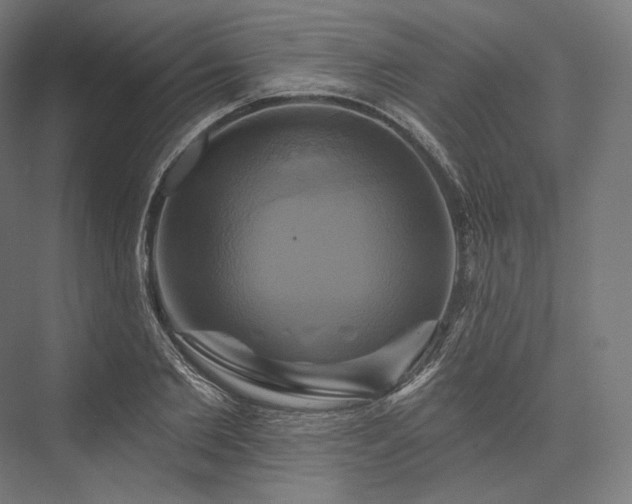 X0000076380885200610061121