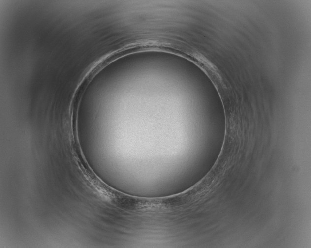 X0000076380886200610061121