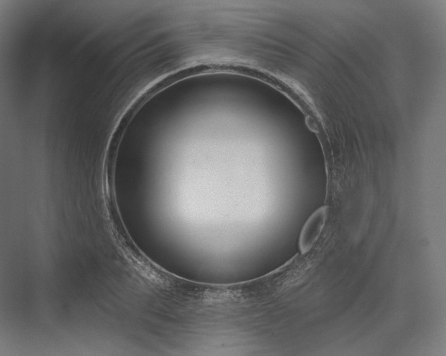 X0000076380887200610061121