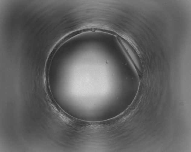 X0000076380888200610061121