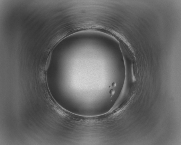 X0000076380889200610061121