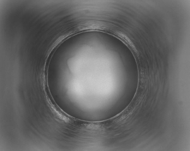 X0000076380890200610061121