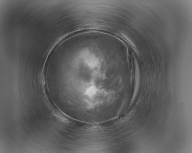 X0000076380891200610061121