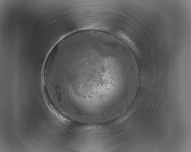 X0000076380892200610061121