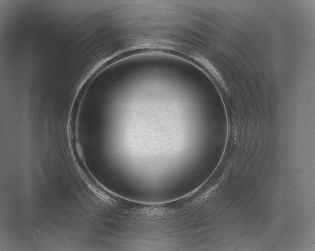 X0000076380893200610061121