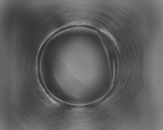 X0000076380894200610061121