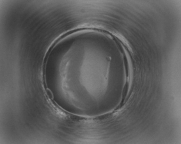 X0000076380896200610061121