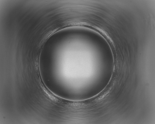 X0000076380897200610061121