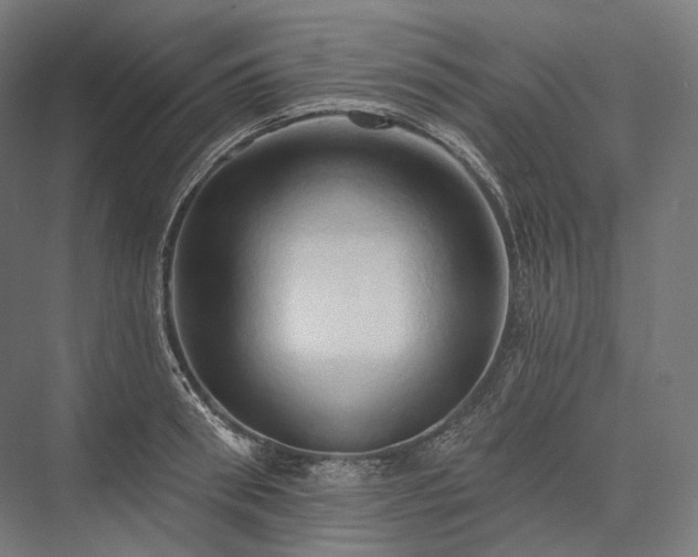 X0000076380898200610061121