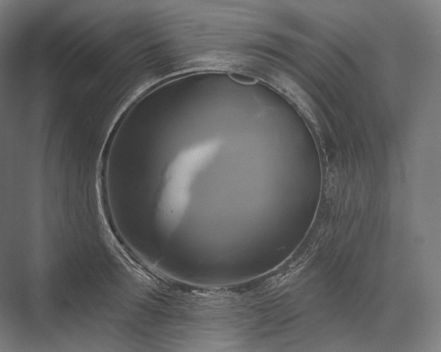 X0000076380899200610061121