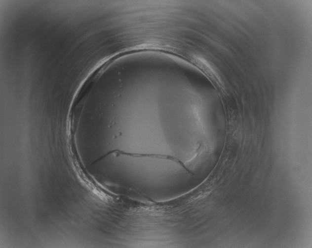 X0000076380900200610061121