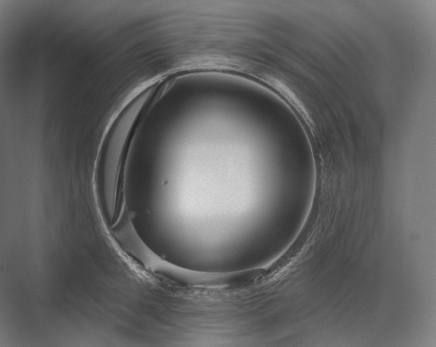 X0000076380901200610061121