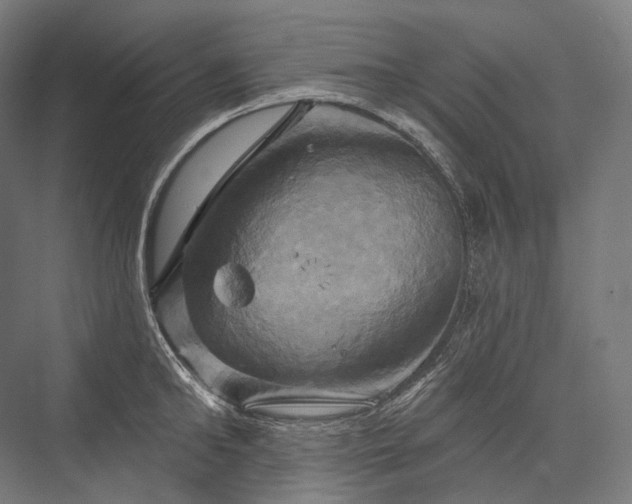 X0000076380902200610061121