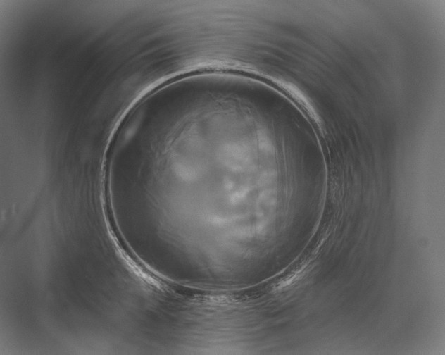 X0000076380903200610061121