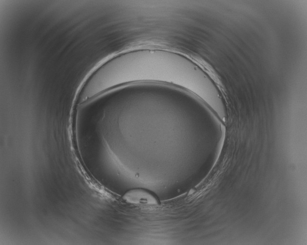 X0000076380904200610061121