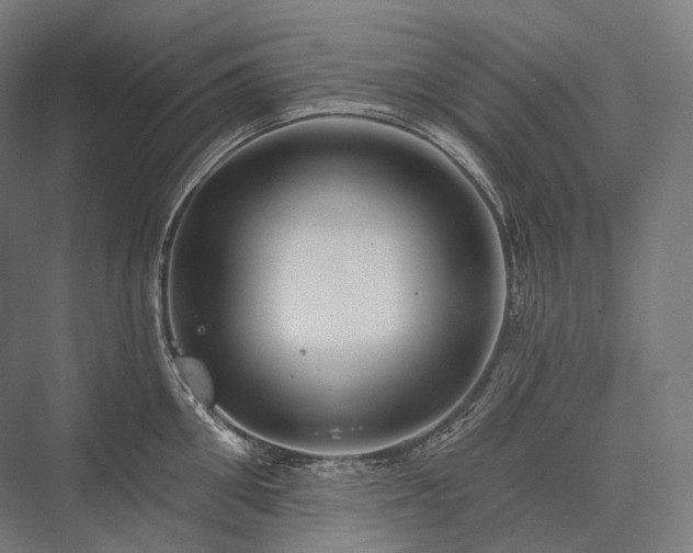 X0000076380906200610061121