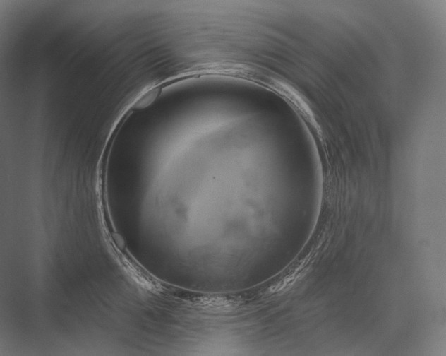 X0000076380907200610061121