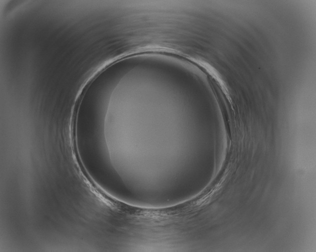 X0000076380910200610061121