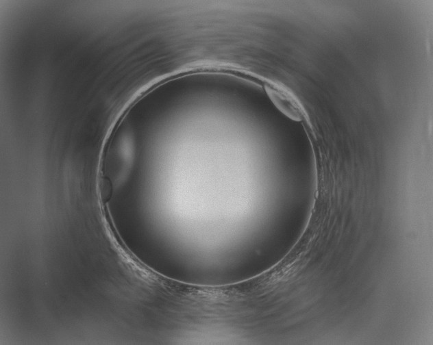 X0000076380911200610061121