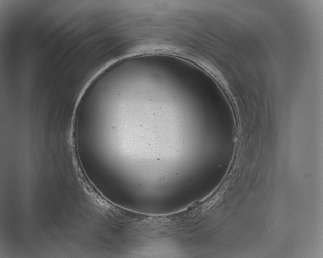 X0000076380912200610061121