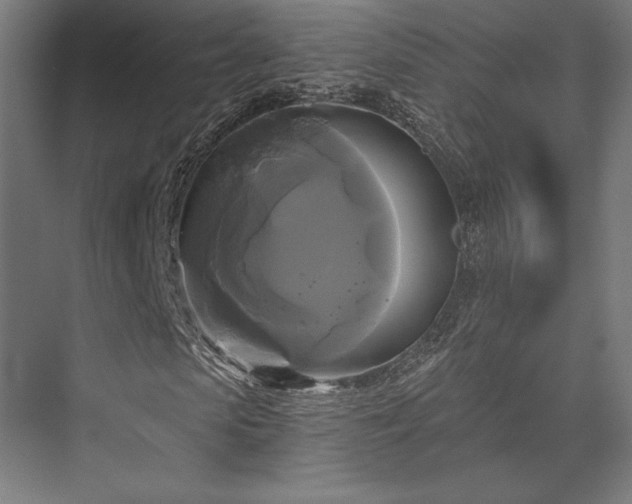 X0000076380913200610061120