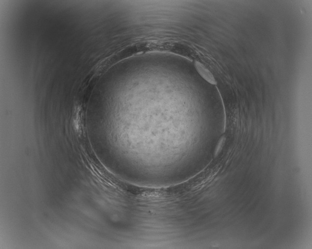 X0000076380914200610061120