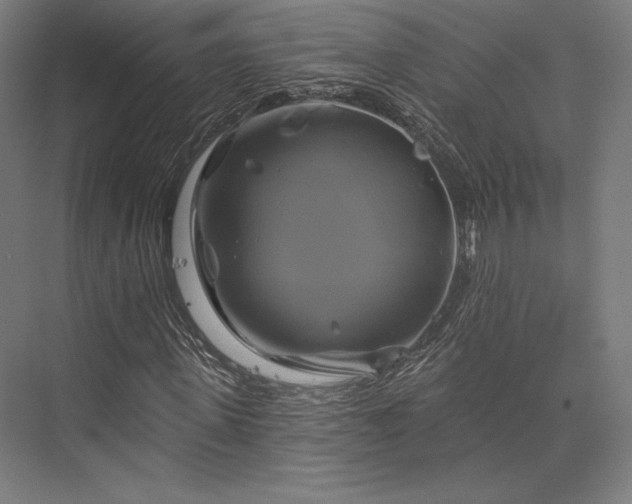 X0000076380915200610061120