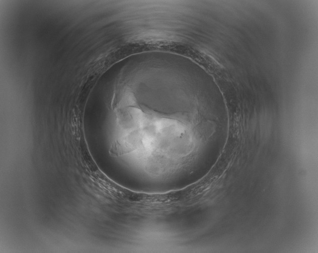 X0000076380917200610061120