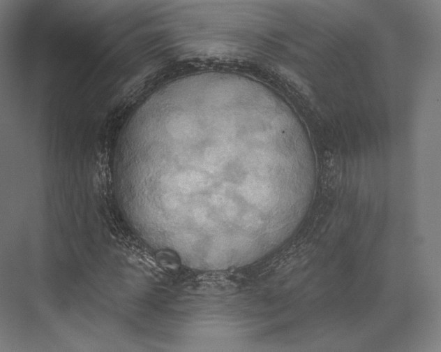 X0000076380918200610061120