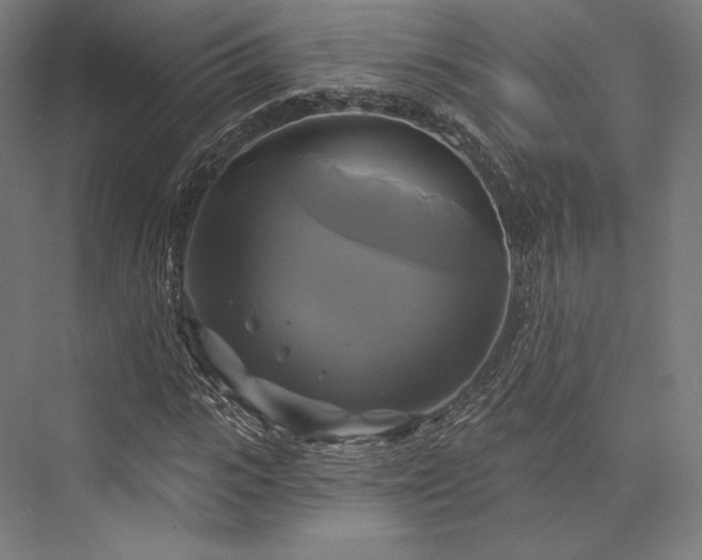 X0000076380919200610061120