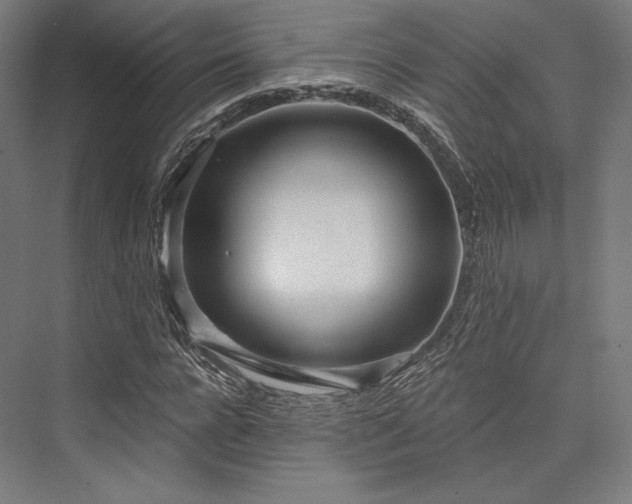 X0000076380920200610061120