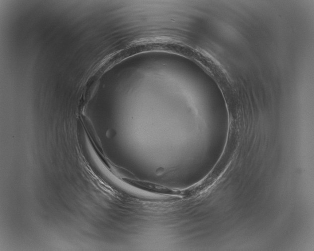 X0000076380921200610061120