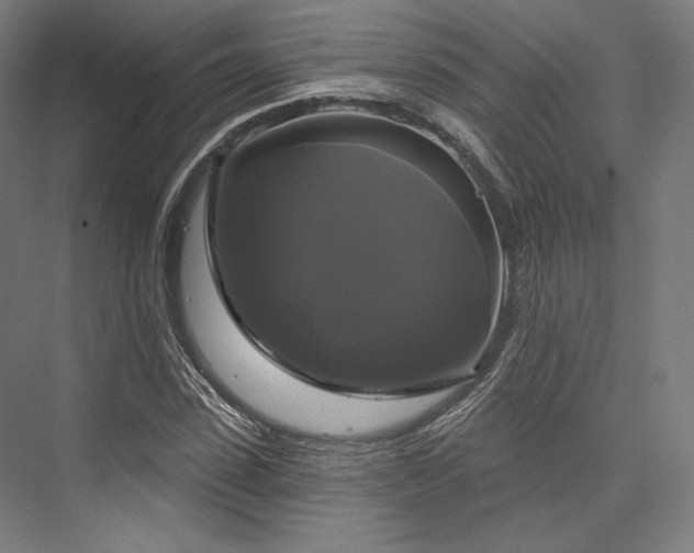 X0000076380923200610061120