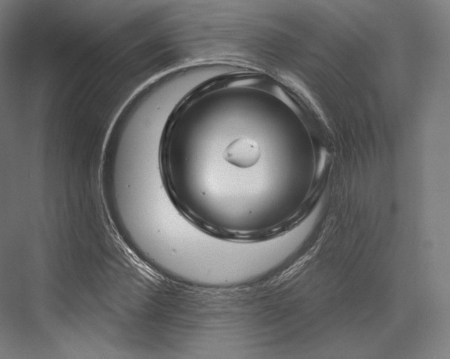 X0000076380924200610061120