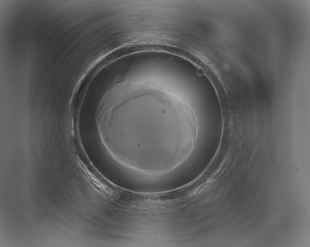 X0000076380925200610061120