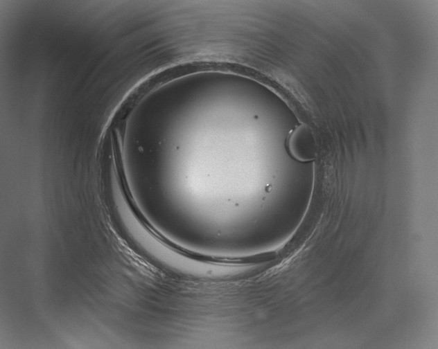 X0000076380926200610061120