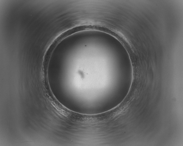 X0000076380927200610061120