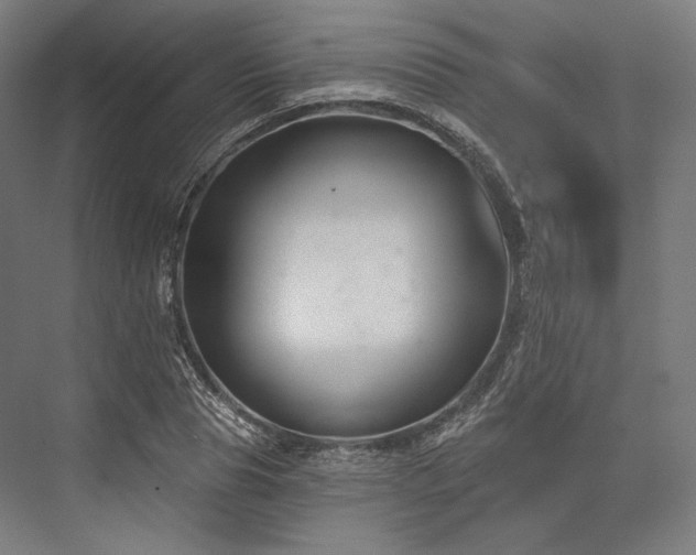 X0000076380929200610061120