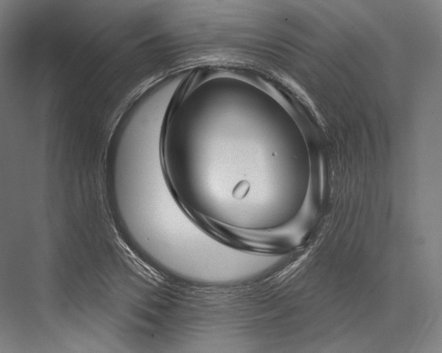 X0000076380930200610061121