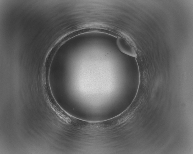 X0000076380931200610061121